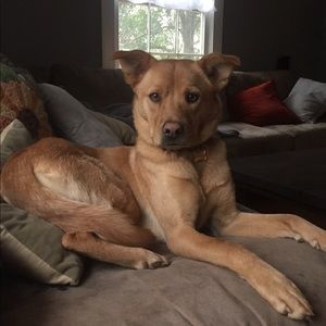 Meet your Posher, Morgan